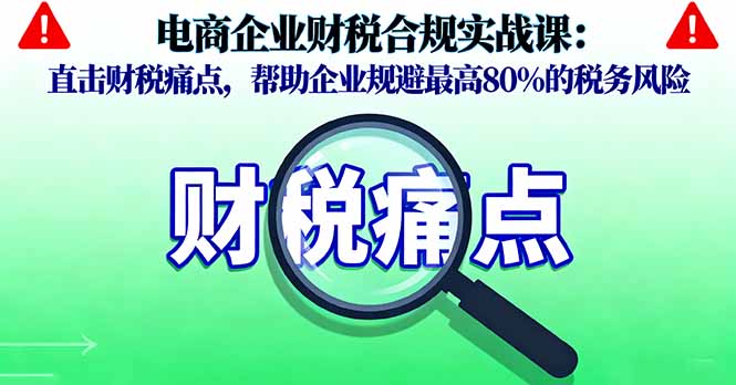 电商企业财税合规实战课，直击财税痛点，帮助企业规避最高80%的税务风险 - 严选资源大全 - 严选资源大全