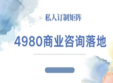 4980商业咨询师落地课程-ip运营高客单教程 - 严选资源大全 - 严选资源大全