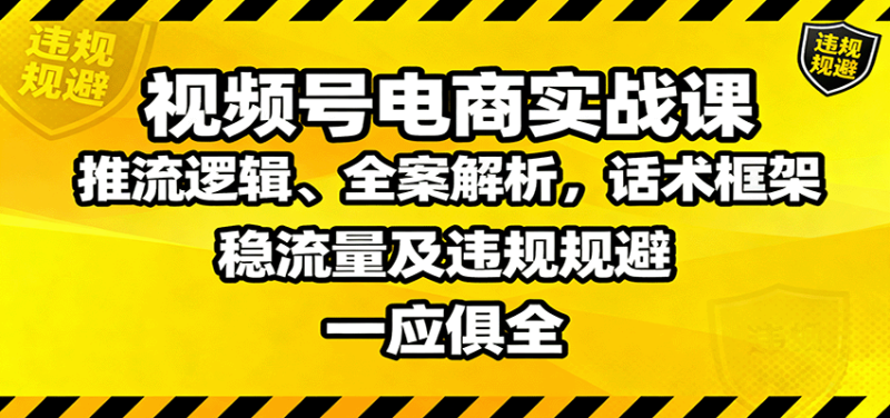 视频号电商实战课：推流逻辑、全案解析，话术框架，稳流量及违规规避等 - 严选资源大全 - 严选资源大全