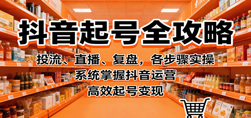 抖音起号全攻略,投流、直播、复盘,各步骤实操,系统掌握抖音运营,高效起号变现 - 严选资源大全
