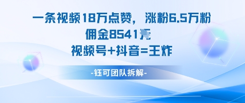 一条视频18W点赞，涨粉6.5W粉佣金8541米，视频号+抖音=王炸 - 严选资源大全 - 严选资源大全