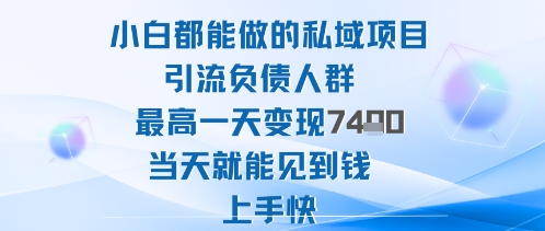 2025年小白都能做的私域项目引流负债人群最高一天变现1k+高变现难度低当天就能见到钱上手快 - 严选资源大全 - 严选资源大全