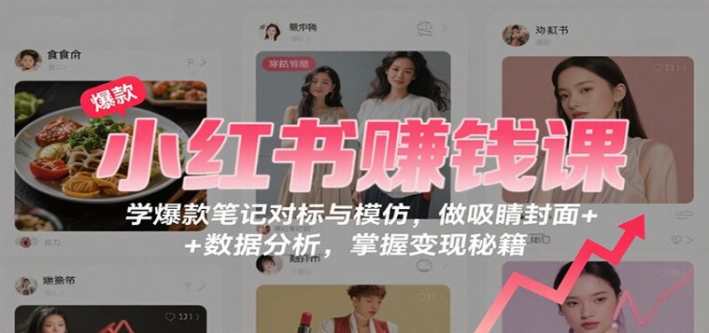 小红书赚钱课：学爆款笔记对标与模仿，做吸睛封面 + 数据分析，掌握变现秘籍 - 严选资源大全 - 严选资源大全
