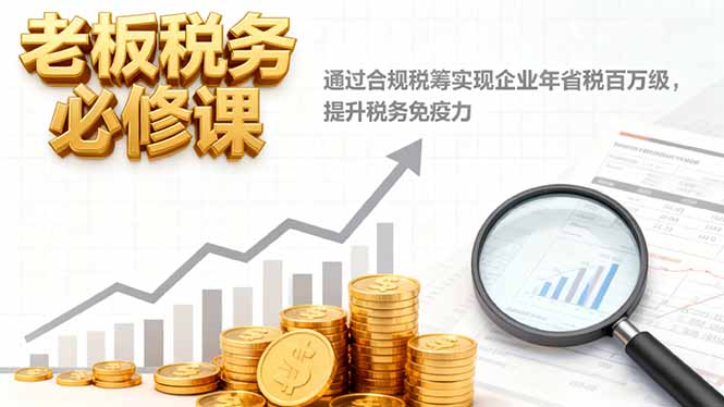 老板税务必修课,通过合规税筹实现企业年省税百万级,提升税务免疫力 - 严选资源大全