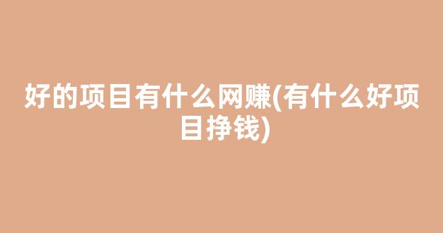 好的项目有什么网赚(有什么好项目挣钱) - 严选资源大全 - 严选资源大全