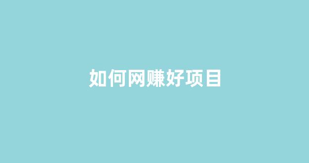 如何网赚好项目 - 严选资源大全