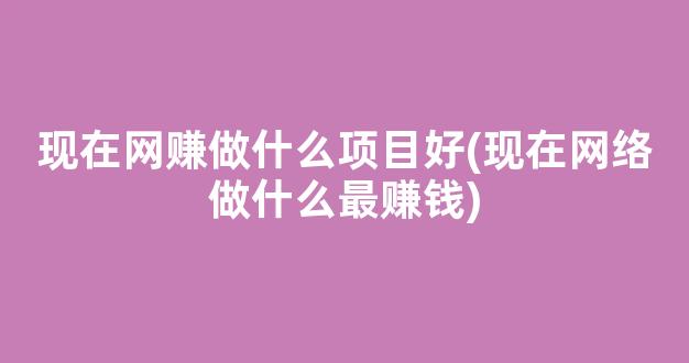 现在网赚做什么项目好(现在网络做什么最赚钱) - 严选资源大全 - 严选资源大全