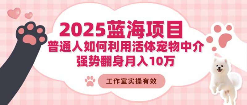 2025蓝海项目:普通人如何利用活体宠物中介,强势翻身月入10万 - 严选资源大全 - 严选资源大全