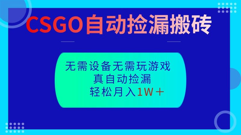 CSGO自动捡漏搬砖,当天操作当天见结果,无需了解游戏,包教包会包落地 - 严选资源大全 - 严选资源大全