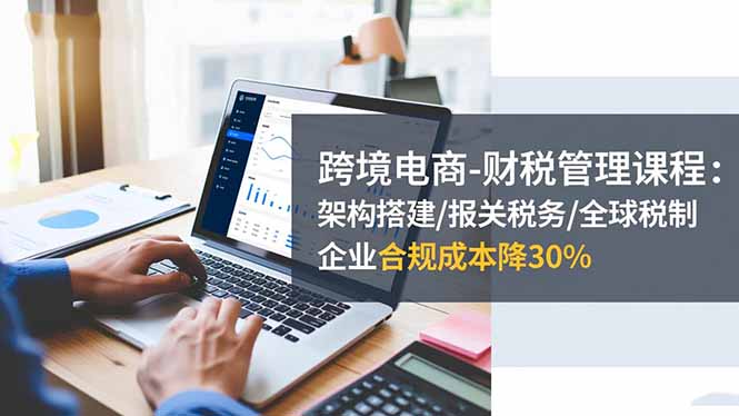 跨境电商-财税管理课程：架构搭建/报关税务/全球税制，企业合规成本降30% - 严选资源大全