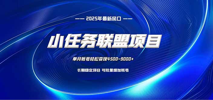 小任务联盟项目：一台电脑每天只需10分钟，轻松简单稳定 - 严选资源大全 - 严选资源大全