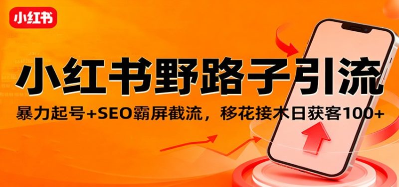 小红书野路子引流,暴力起号+SEO霸屏截流,移花接木日获客100+ - 严选资源大全 - 严选资源大全