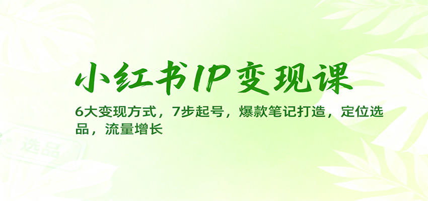 小红书IP变现课:6大变现方式,7步起号,爆款笔记打造,定位选品,流量增长 - 严选资源大全