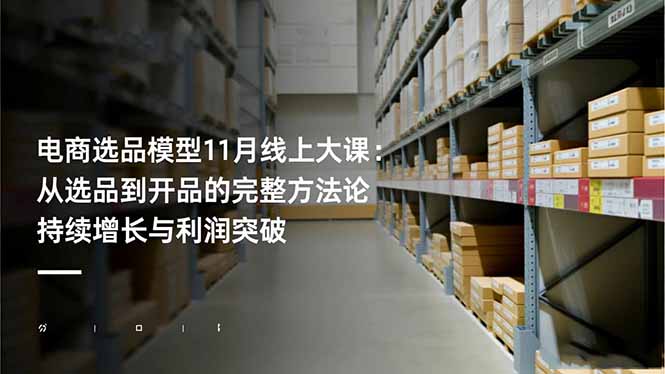 电商选品模型11月线上大课:从选品到开品的完整方法论 持续增长与利润突破 - 严选资源大全