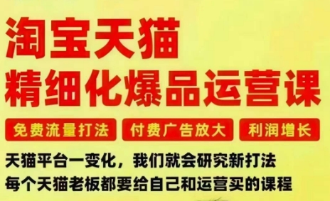 淘宝天猫精细化爆品运营课，免费流量打法-付费广告放大-利润增长-三大核心痛点，一次全部解决 - 严选资源大全
