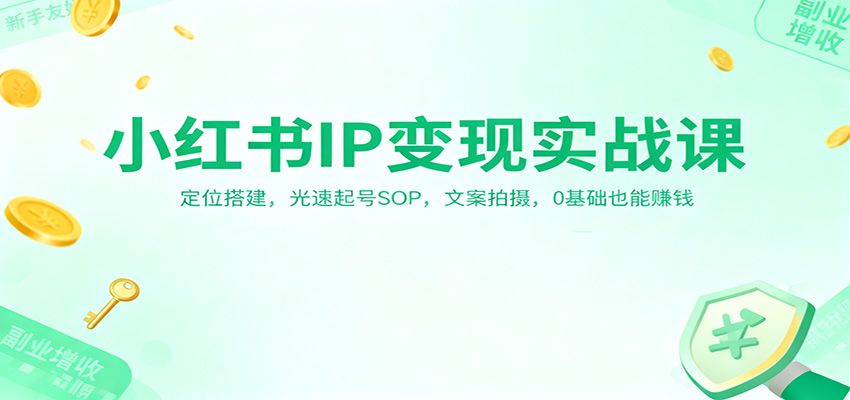 小红书IP变现实战课：定位搭建，光速起号SOP，文案拍摄，0基础也能赚钱 - 严选资源大全