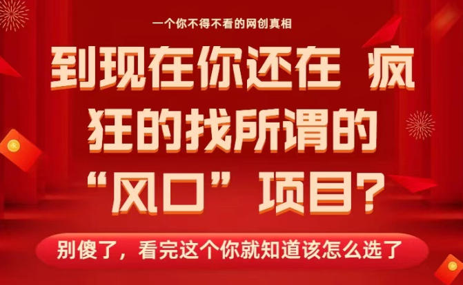 马上26年了，你还在找所谓的风口项目？别傻了，看完这个你全都懂了！【揭秘】 - 严选资源大全