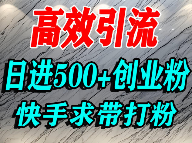 怎么打创业粉？快手求带视角精准引流创业粉，宝妈、学生群体日进500+精准流量 - 严选资源大全