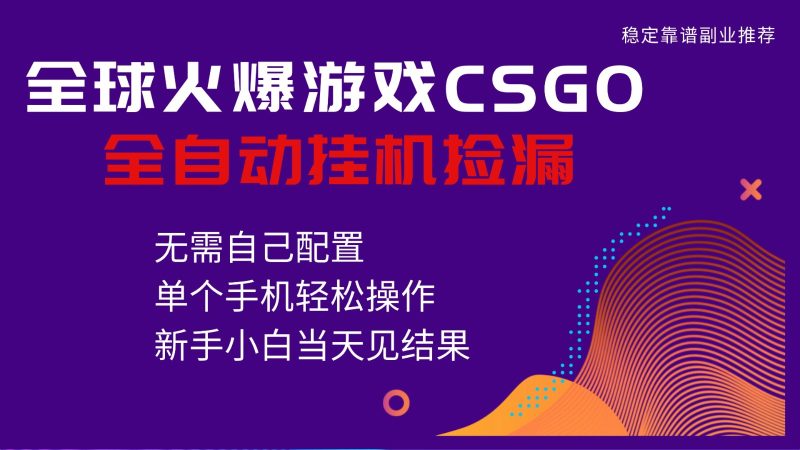 火爆游戏CSGO全自动捡漏,独家最新玩法,单个手机可操作,新手小白日入500+ - 严选资源大全 - 严选资源大全