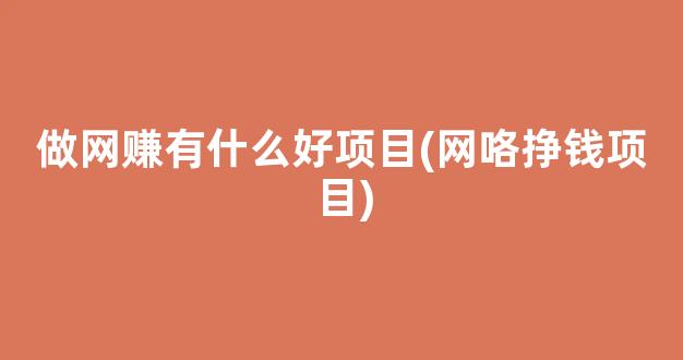 做网赚有什么好项目(网咯挣钱项目) - 严选资源大全