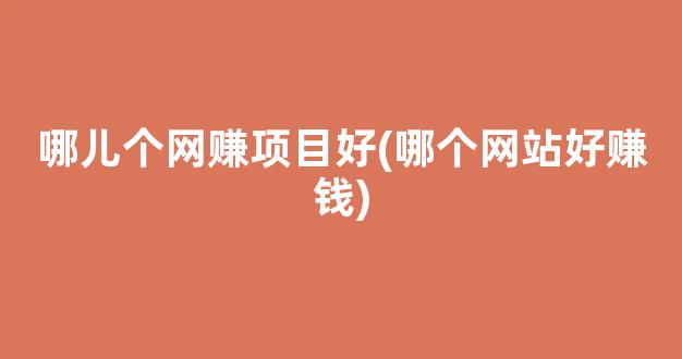 哪儿个网赚项目好(哪个网站好赚钱) - 严选资源大全