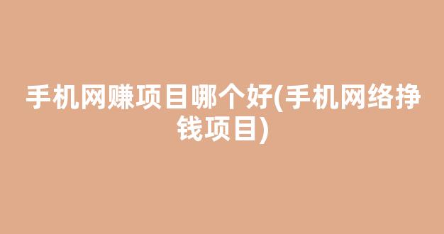 手机网赚项目哪个好(手机网络挣钱项目) - 严选资源大全