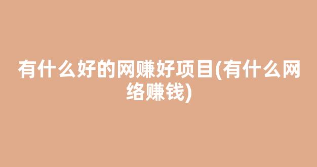 有什么好的网赚好项目(有什么网络赚钱) - 严选资源大全
