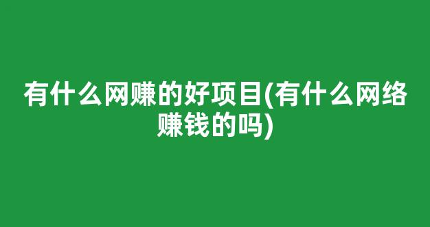 有什么网赚的好项目(有什么网络赚钱的吗) - 严选资源大全