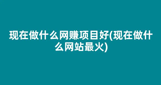 现在做什么网赚项目好(现在做什么网站最火) - 严选资源大全