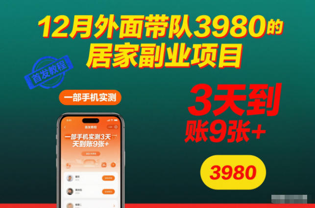 12月外面带队3980的居家副业项目,一部手机实测3天到账9张+,首发教程【揭秘】 - 严选资源大全
