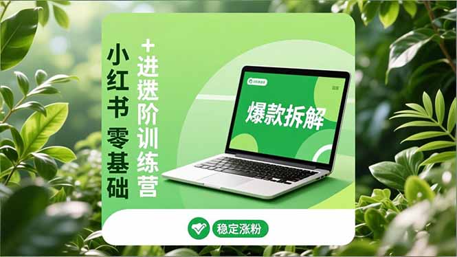 小红书零基础+高阶训练营：安全养号、爆款拆解、长效运营，实现稳定涨粉与变现 - 严选资源大全