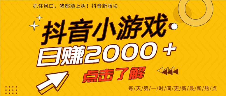 2025年爆火的抖音小游戏项目,一部手机日入2000+ - 严选资源大全