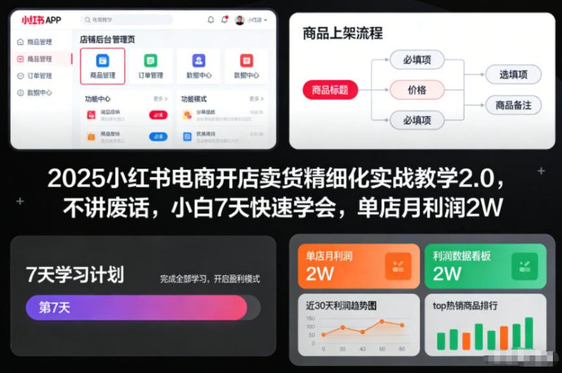 2025小红书电商开店卖货精细化实战教学2.0，不讲废话，小白7天快速学会，单店月利润2W - 严选资源大全 - 严选资源大全