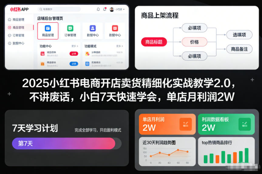 2025小红书电商开店卖货精细化实战教学2.0，不讲废话，小白7天快速学会，单店月利润2W - 严选资源大全