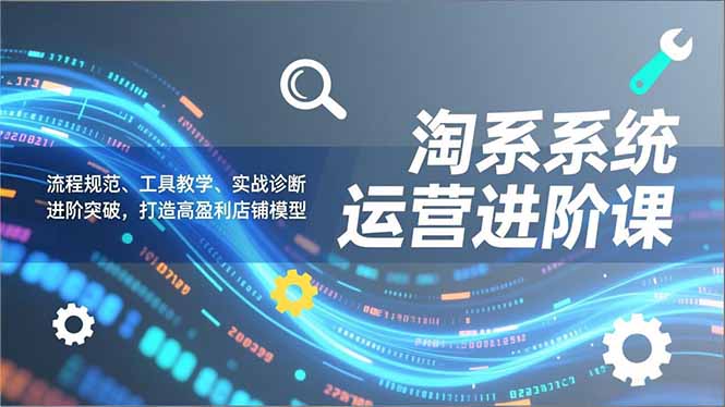淘系系统运营进阶课2.0，流程规范、工具教学、实战诊断，进阶突破，打造高盈利店铺模型 - 严选资源大全