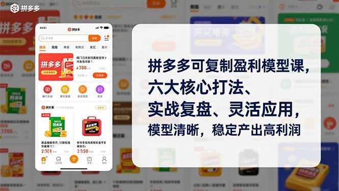 拼多多可复制盈利模型课，六大核心打法、实战复盘、灵活应用，模型清晰，稳定产出高利润 - 严选资源大全