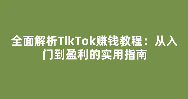 全面解析TikTok赚钱教程：从入门到盈利的实用指南 - 严选资源大全 - 严选资源大全