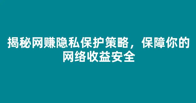 揭秘网赚隐私保护策略，保障你的网络收益安全