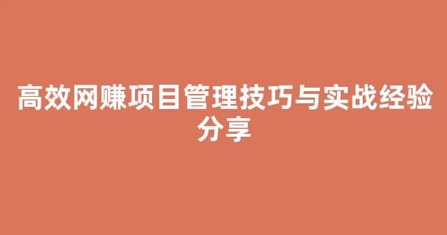高效网赚项目管理技巧与实战经验分享 - 严选资源大全