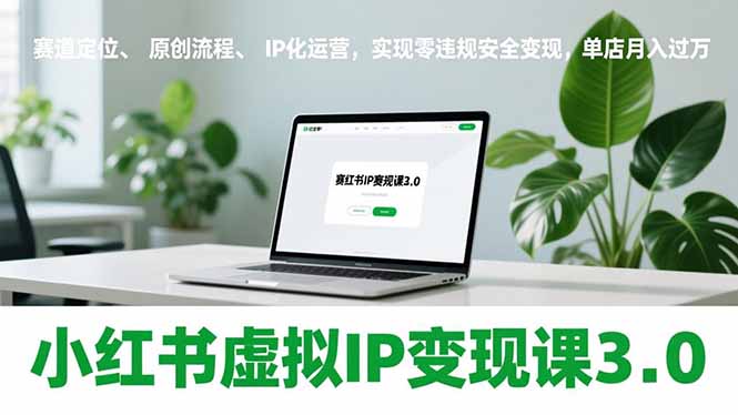 小红书虚拟IP变现课3.0，赛道定位、原创流程、IP化运营，实现零违规安全变现，单店月入过万 - 严选资源大全