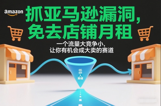 抓亚马逊漏洞，免去店铺月租，一个流量大竞争小，让你有机会成大卖的赛道 - 严选资源大全