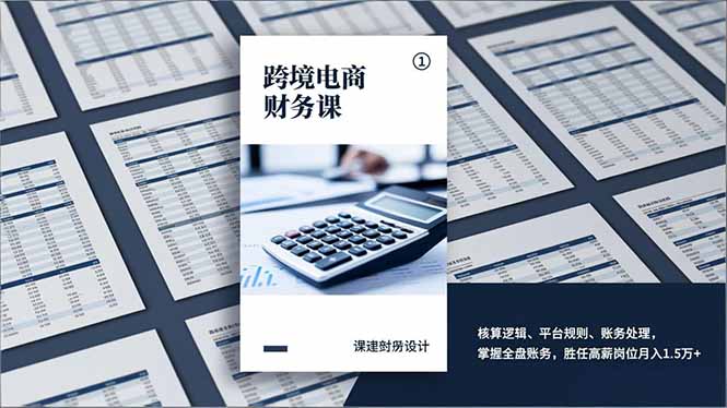 跨境电商财务课，核算逻辑、平台规则、账务处理，掌握全盘账务，胜任高薪岗位月入1.5万+ - 严选资源大全