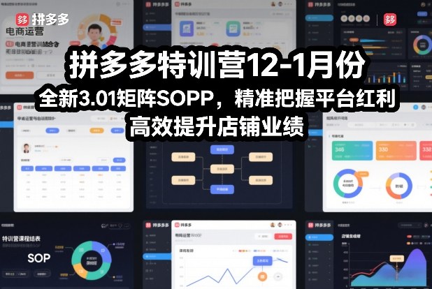 拼多多特训营12-1月份，全新3.01矩阵Sop，精准把握平台红利，高效提升店铺业绩 - 严选资源大全