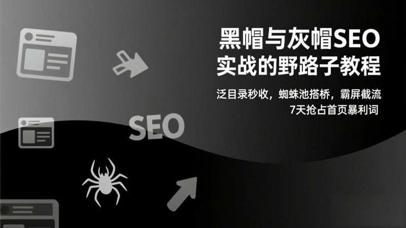 黑帽与灰帽SEO实战的野路子教程：泛目录秒收，蜘蛛池搭桥，霸屏截流，7天抢占首页暴利词 - 严选资源大全 - 严选资源大全