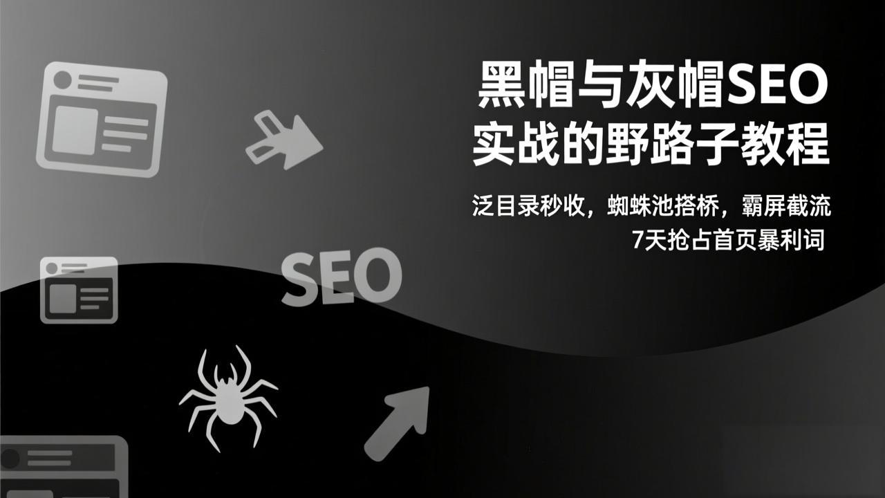 黑帽与灰帽SEO实战的野路子教程：泛目录秒收，蜘蛛池搭桥，霸屏截流，7天抢占首页暴利词 - 严选资源大全