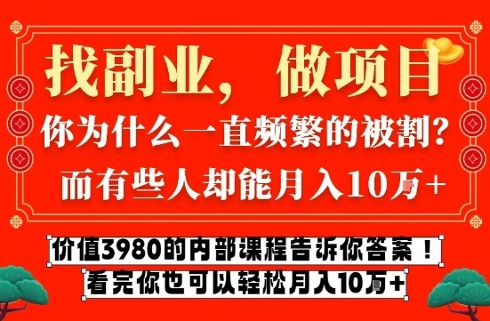 价值3980的网创内部课程，告诉你互联网创业月入10个W的秘密【揭秘】 - 严选资源大全
