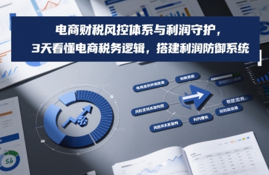 电商财税风控体系与利润守护，3天看懂电商税务逻辑，搭建利润防御系统 - 严选资源大全