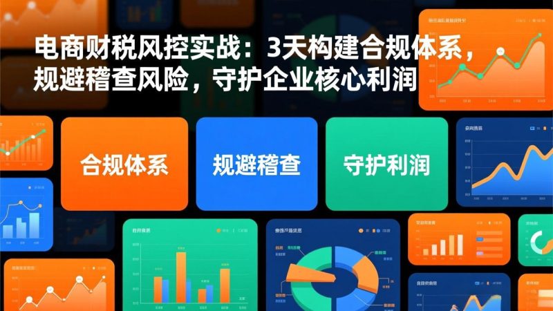电商财税风控实战:3天构建合规体系,规避稽查风险,守护企业核心利润 - 严选资源大全 - 严选资源大全