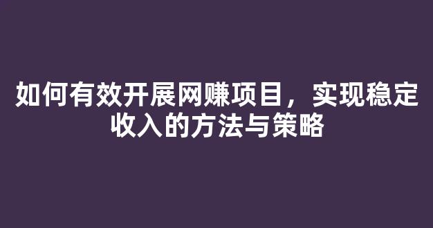 如何有效开展网赚项目，实现稳定收入的方法与策略 - 严选资源大全