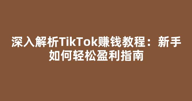 深入解析TikTok赚钱教程：新手如何轻松盈利指南 - 严选资源大全